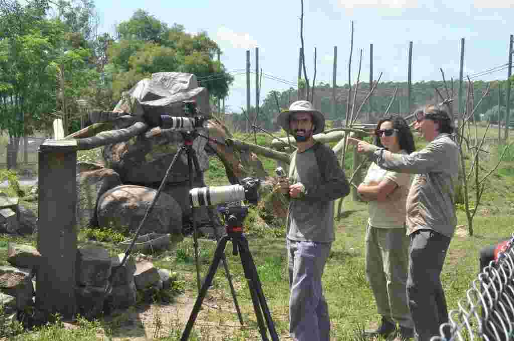 documental internacional, Prensa IDD (3)