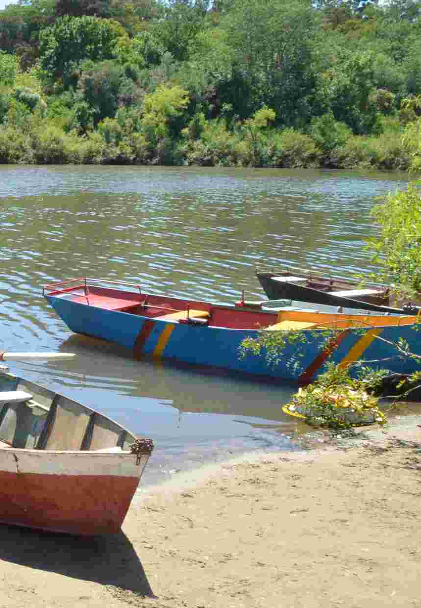 Arena y aguas del Yi, Prensa IDD