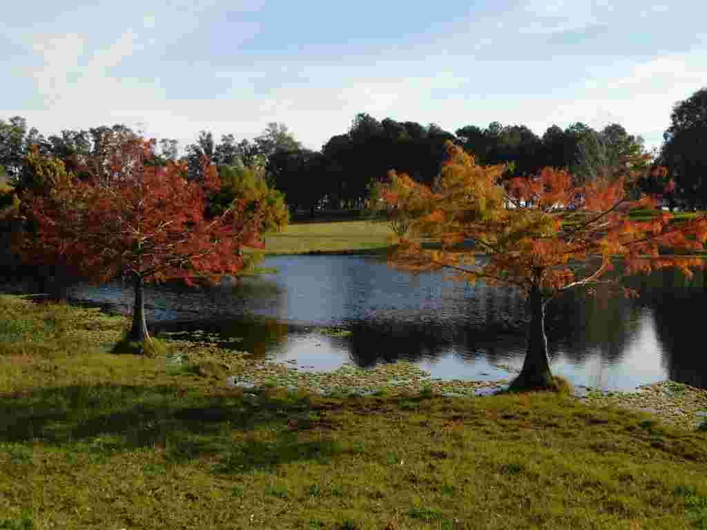 WhatsApp Image 2020-05-08 at 5.46.17 PM