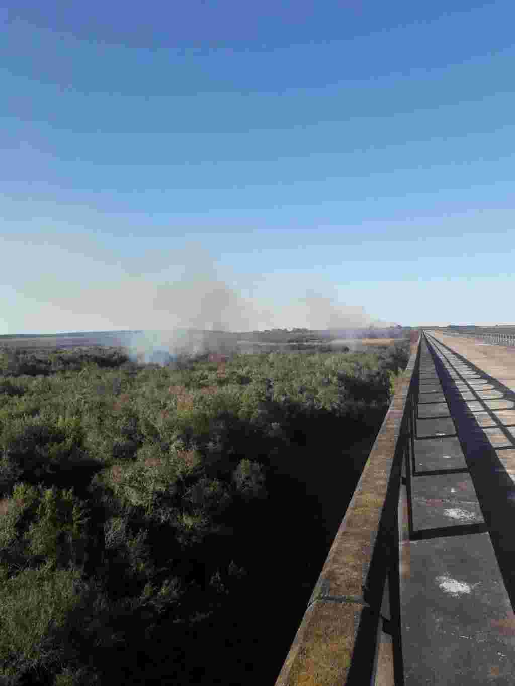 WhatsApp Image 2020-05-13 at 6.31.38 PM