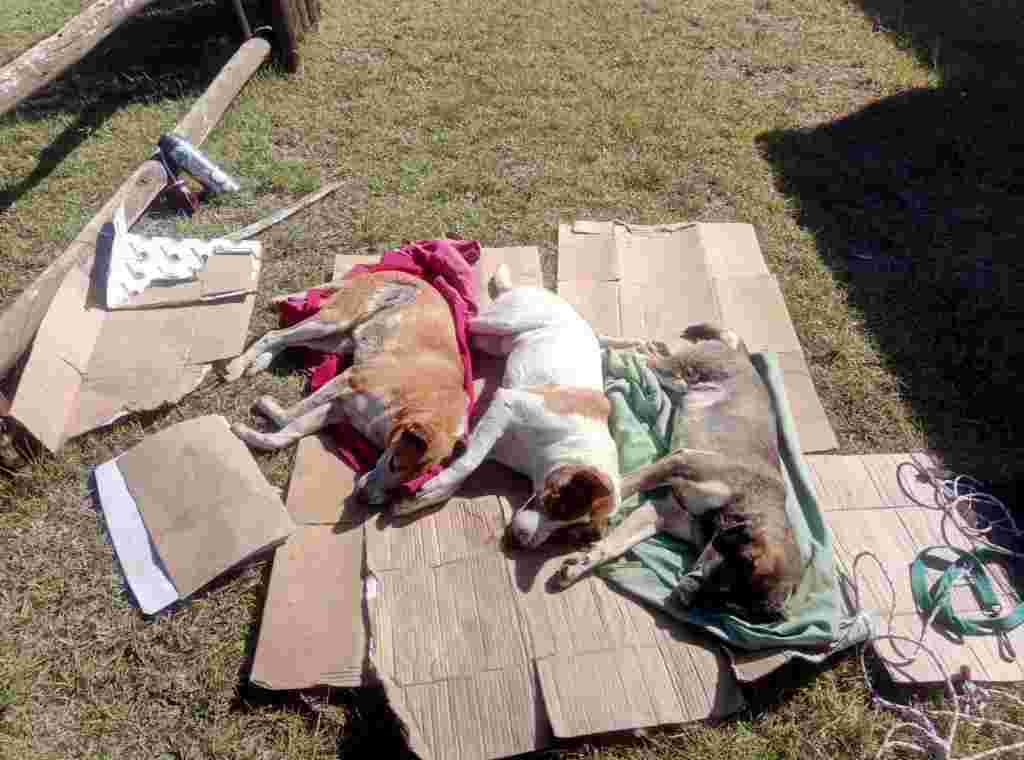 WhatsApp Image 2020-05-15 at 5.24.40 PM