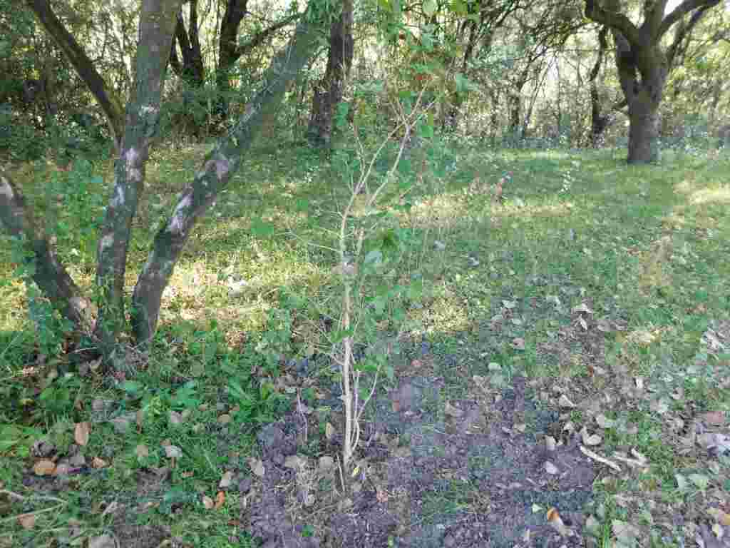 WhatsApp Image 2020-05-21 at 10.53.25 AM