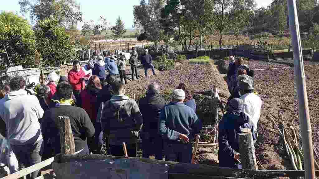 WhatsApp Image 2020-05-21 at 6.57.13 PM