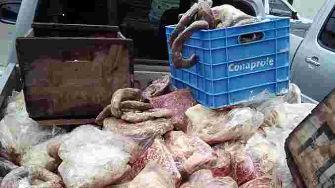 Carne-en-camioneta-678x380