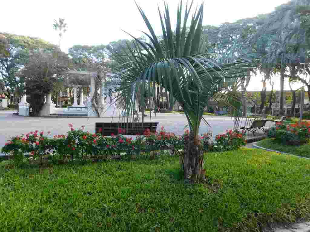 WhatsApp Image 2020-07-09 at 2.37.12 PM