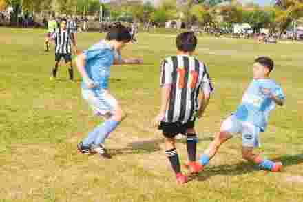 fecha sub 15