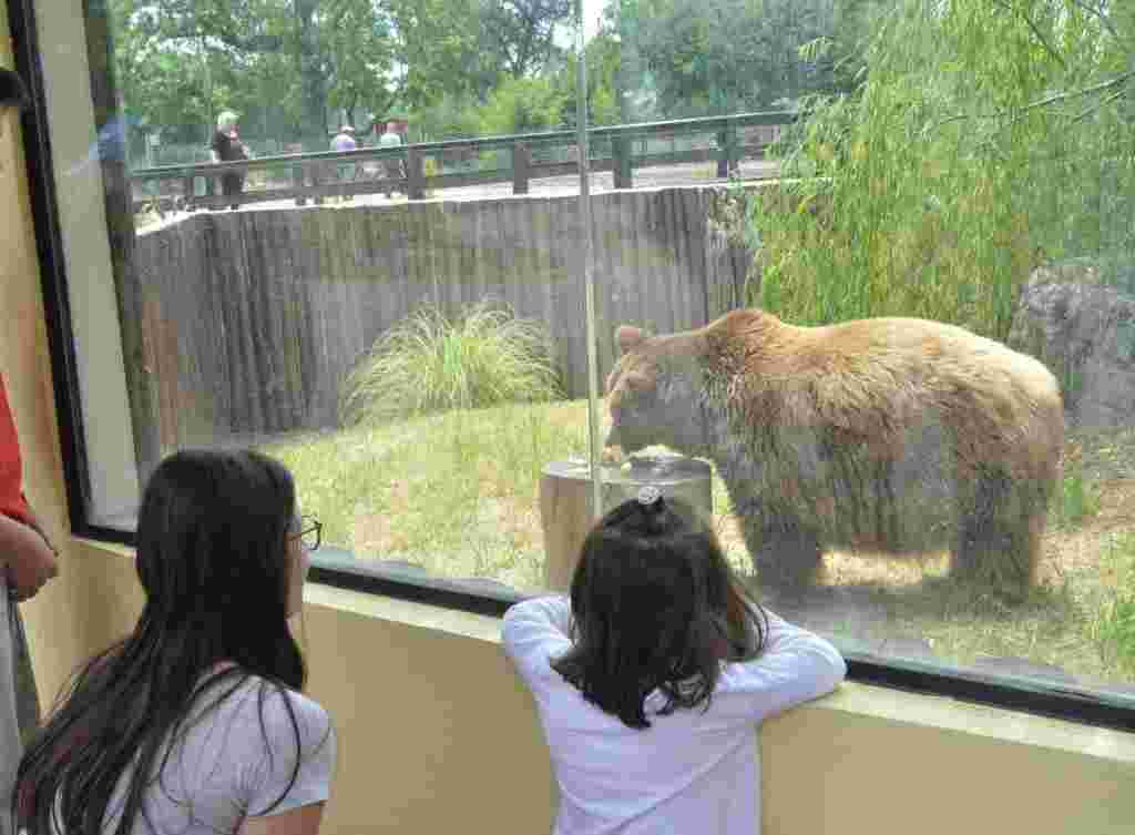 BIOPARQUE, fotos de archivo, Prensa IDD (2)