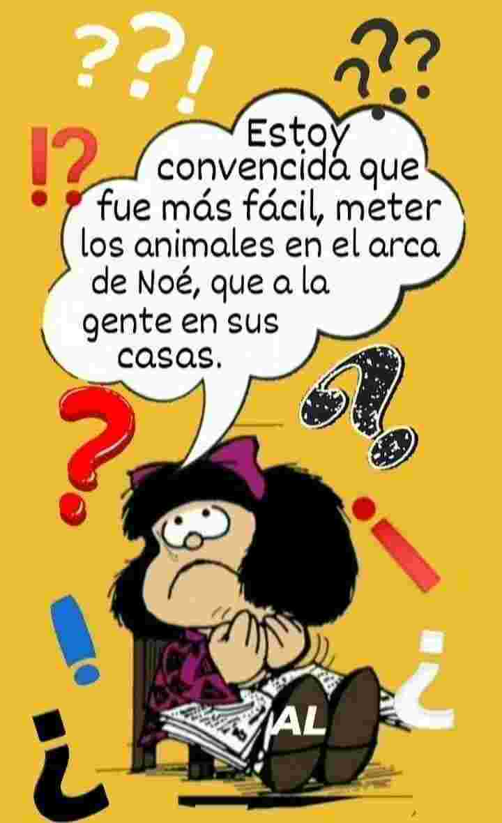 mafalda