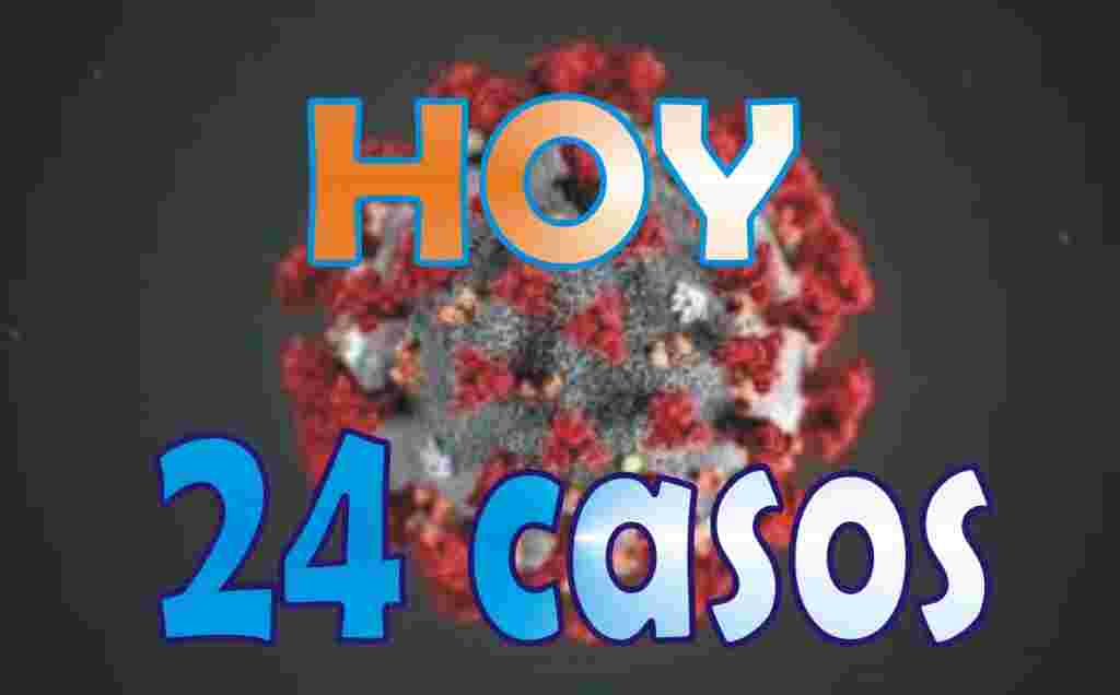 24 casos