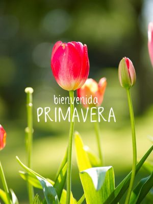 primavera_024
