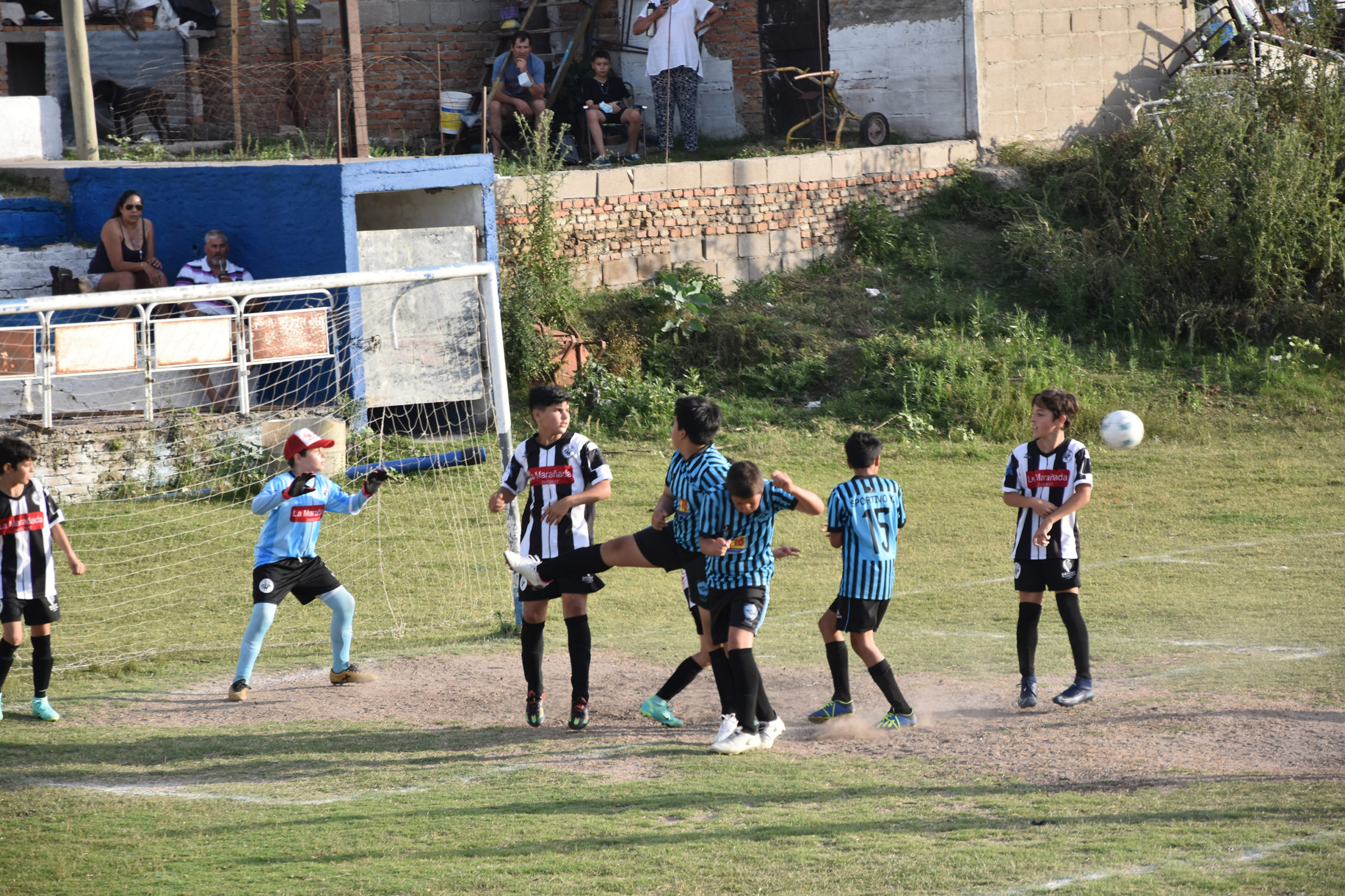 BabyFutbol  Estupenda performance de los younguense en la 19na Uruguay Cup  disputada en Paysandú