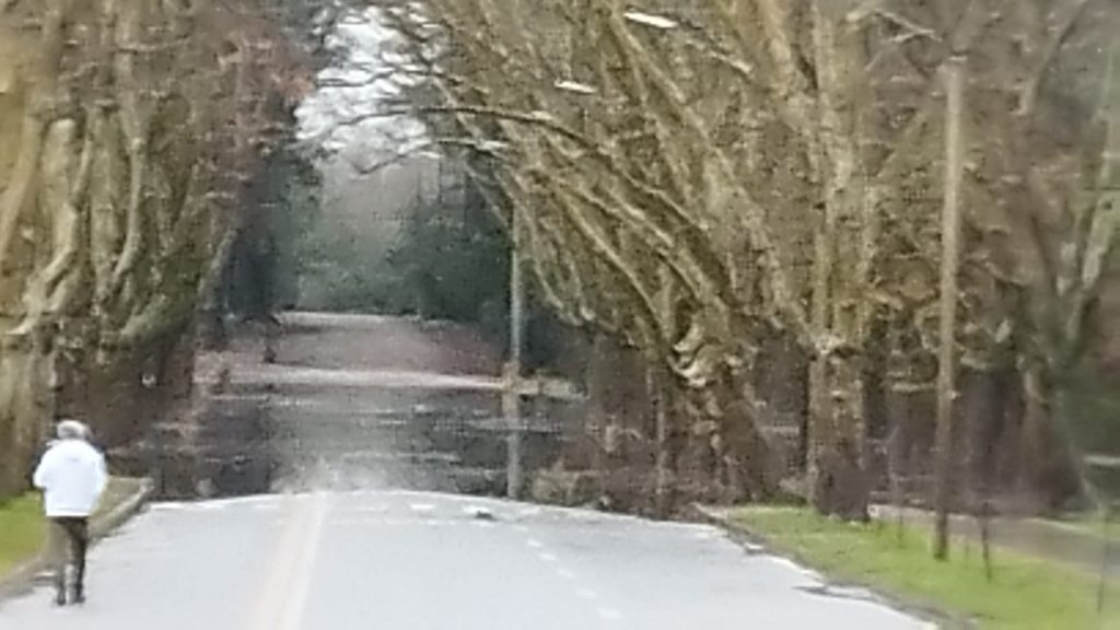 WhatsApp Image 2022-07-15 at 10.10.02 AM