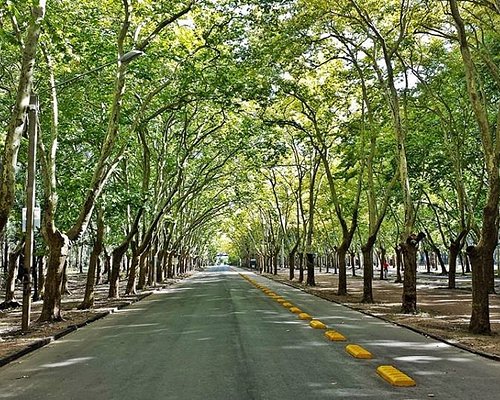 avenida-proxima-ao-parque