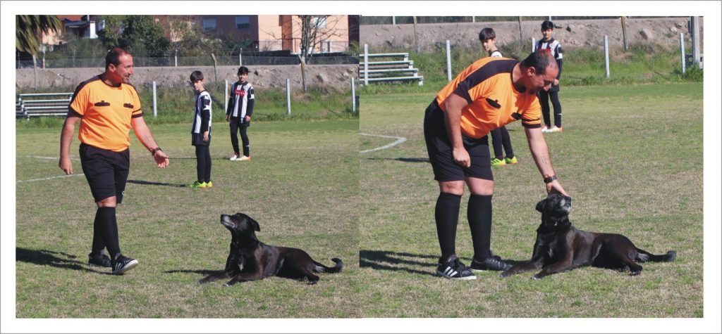 arbitro y perro