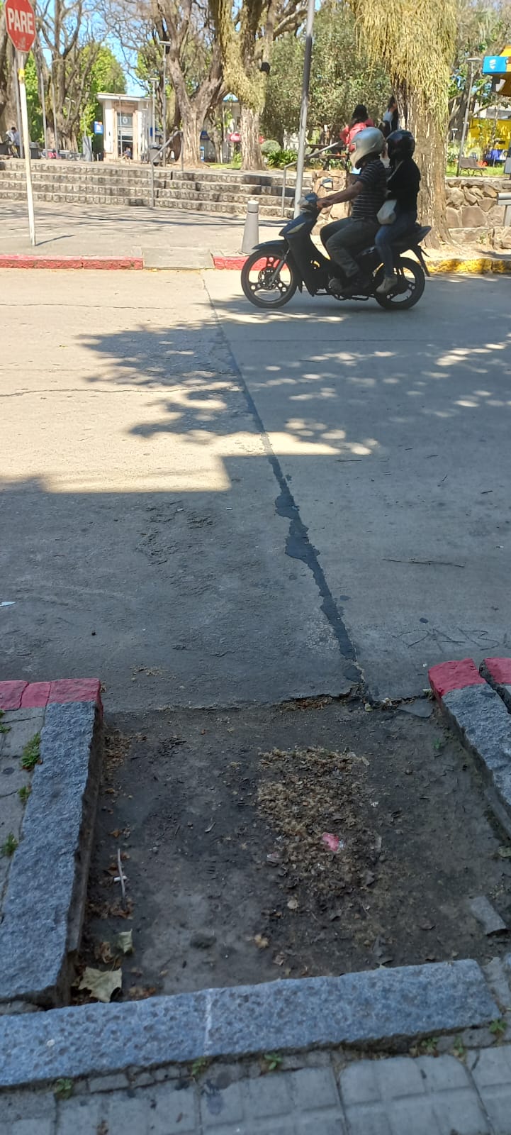 WhatsApp Image 2022-10-24 at 3.00.57 PM