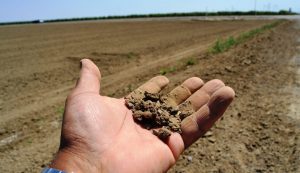 emergencia agropecuaria