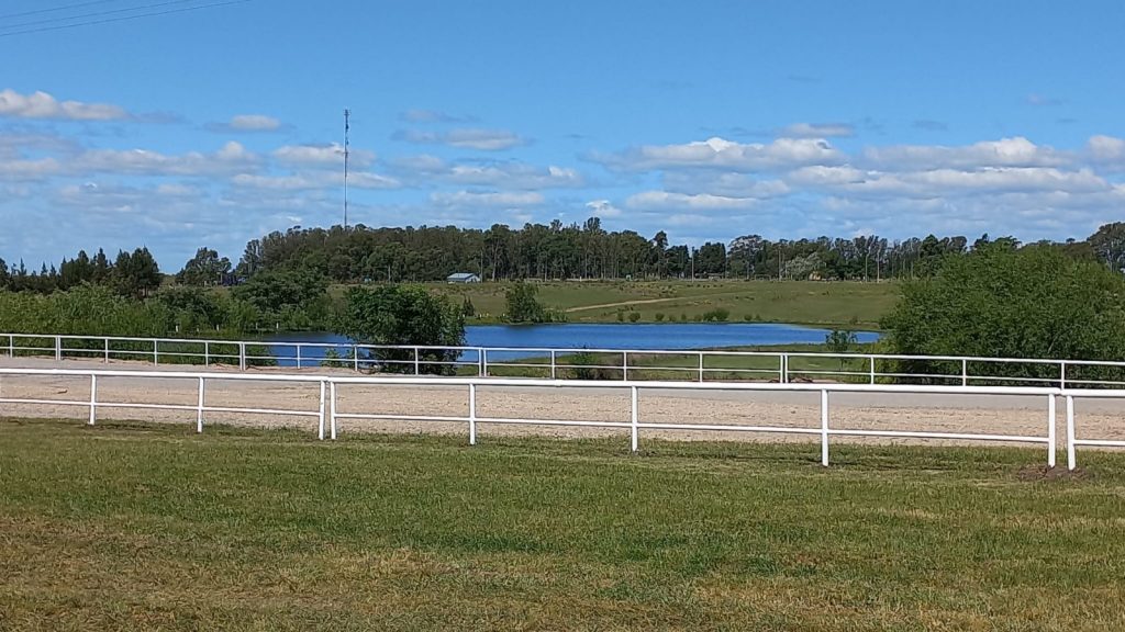 WhatsApp Image 2022-11-01 at 3.16.28 PM