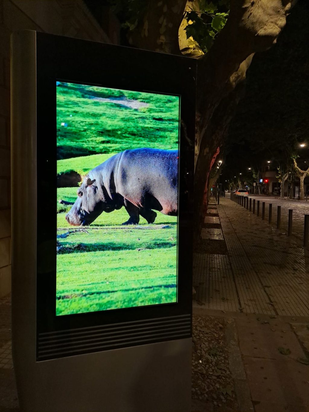 WhatsApp Image 2022-12-10 at 22.11.27