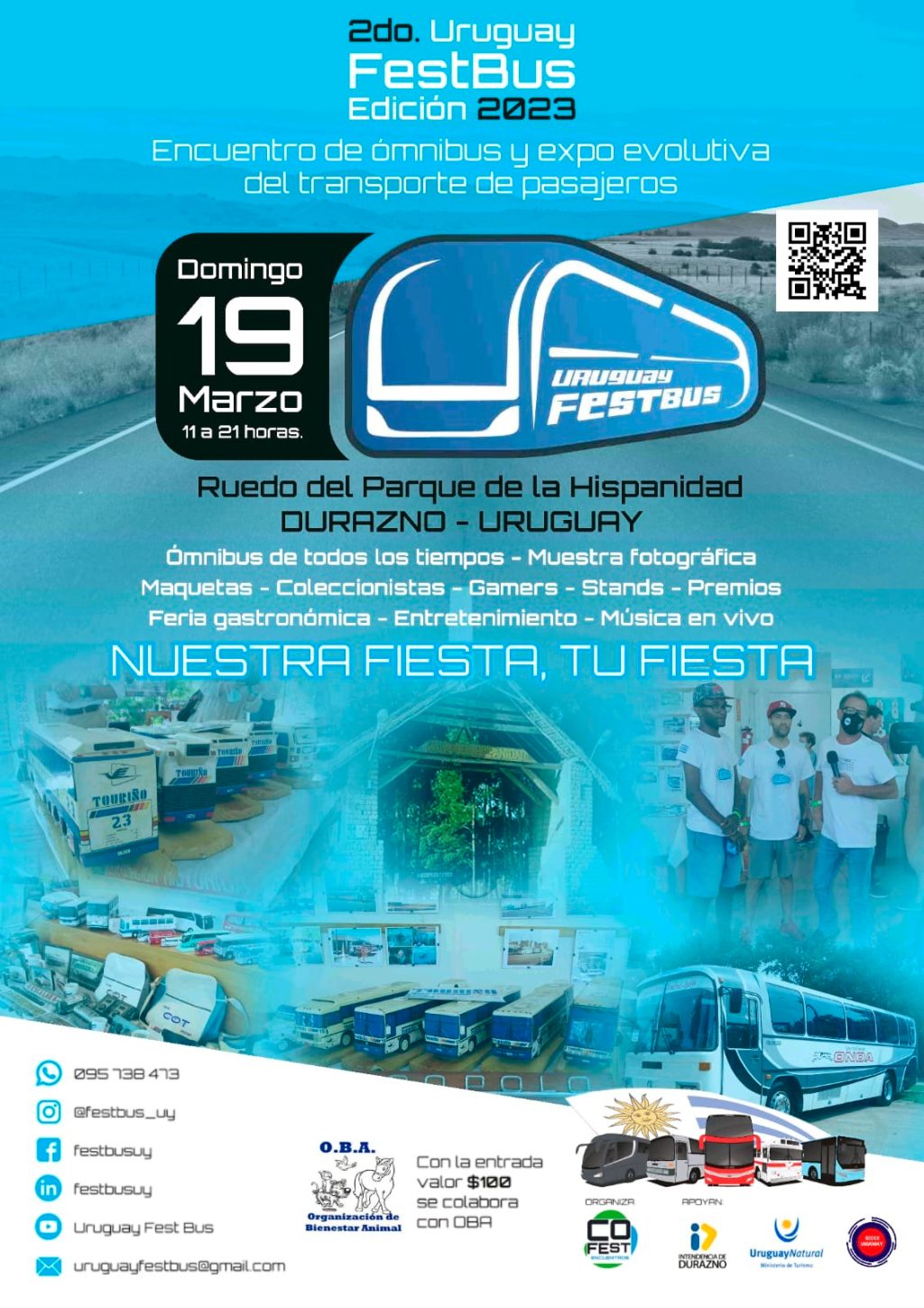 FEST BUS