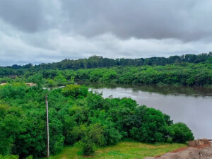 PLAYA PUENTE