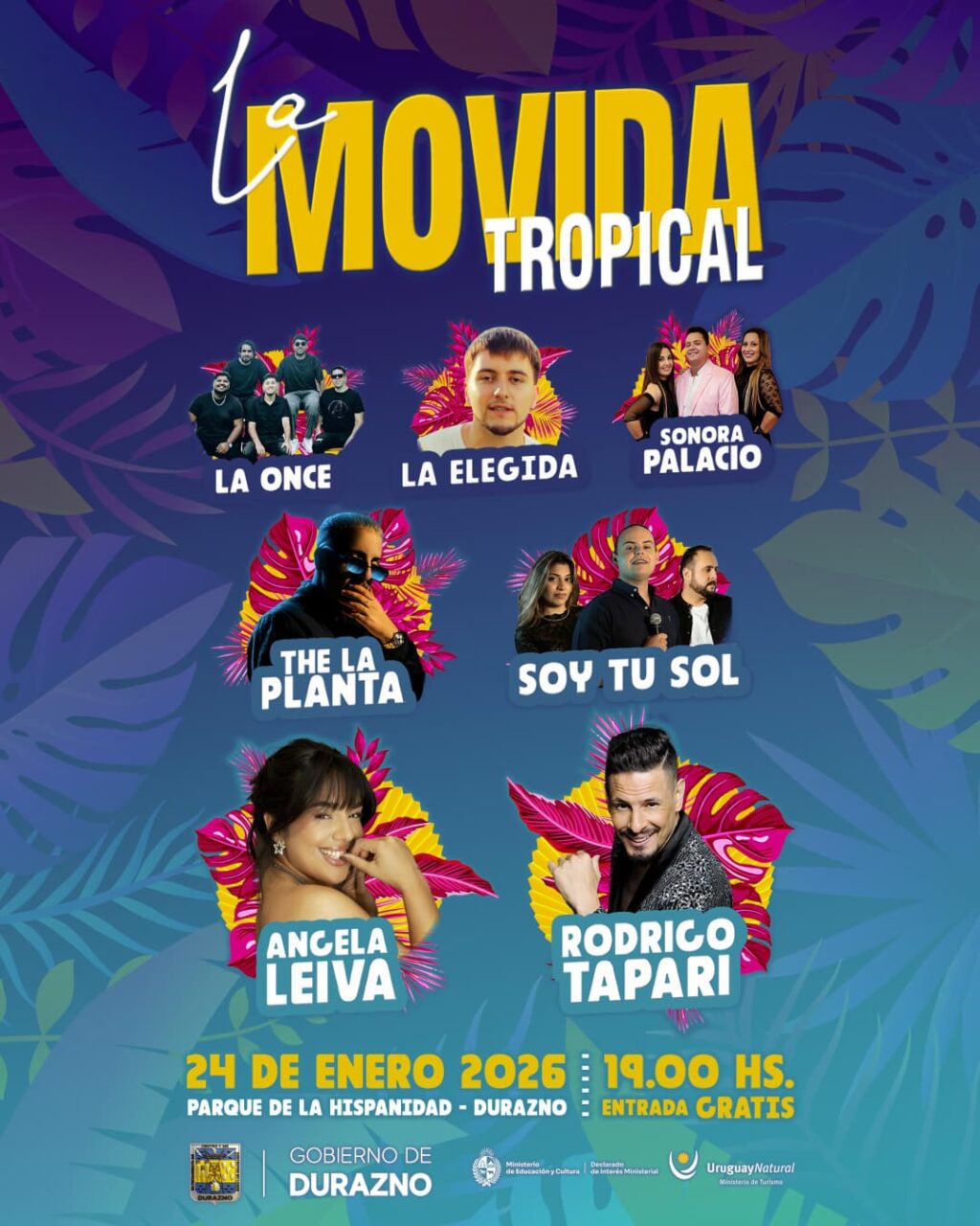 movida tropical