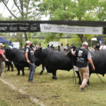 Desde el 26 Expo Durazno 2026