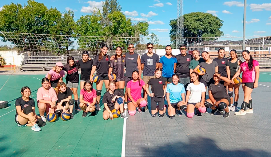 17 voleibol