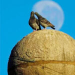 Día Internacional del beso