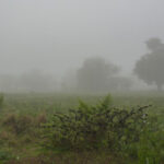 Anuncian lluvias abundantes