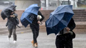 5 LLUVIAS