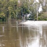 Actualización de situación sobre comportamiento del río Yí