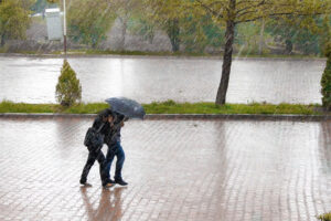 17 lluvia