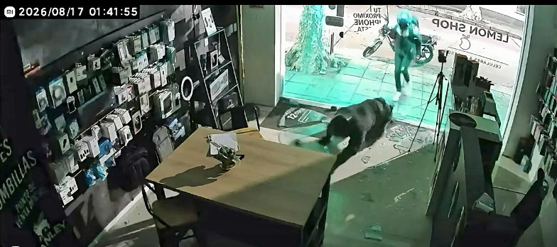 17 robo