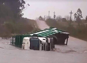 17CAMION