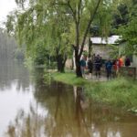 Crece a 3 centímetros por hora