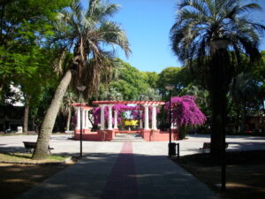 12 DURAZNO
